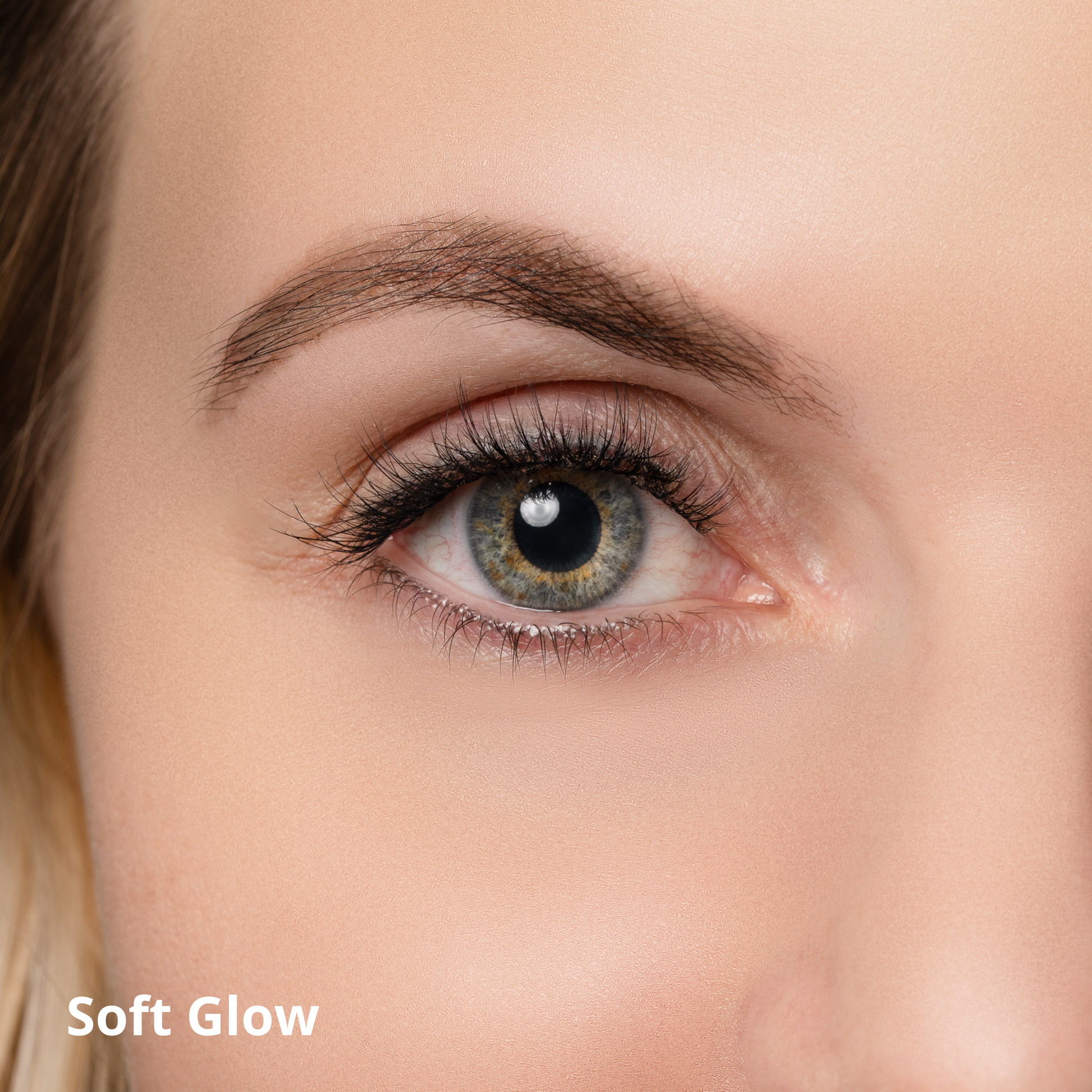 Press-On Lashes Starter Kit - Missbeauty