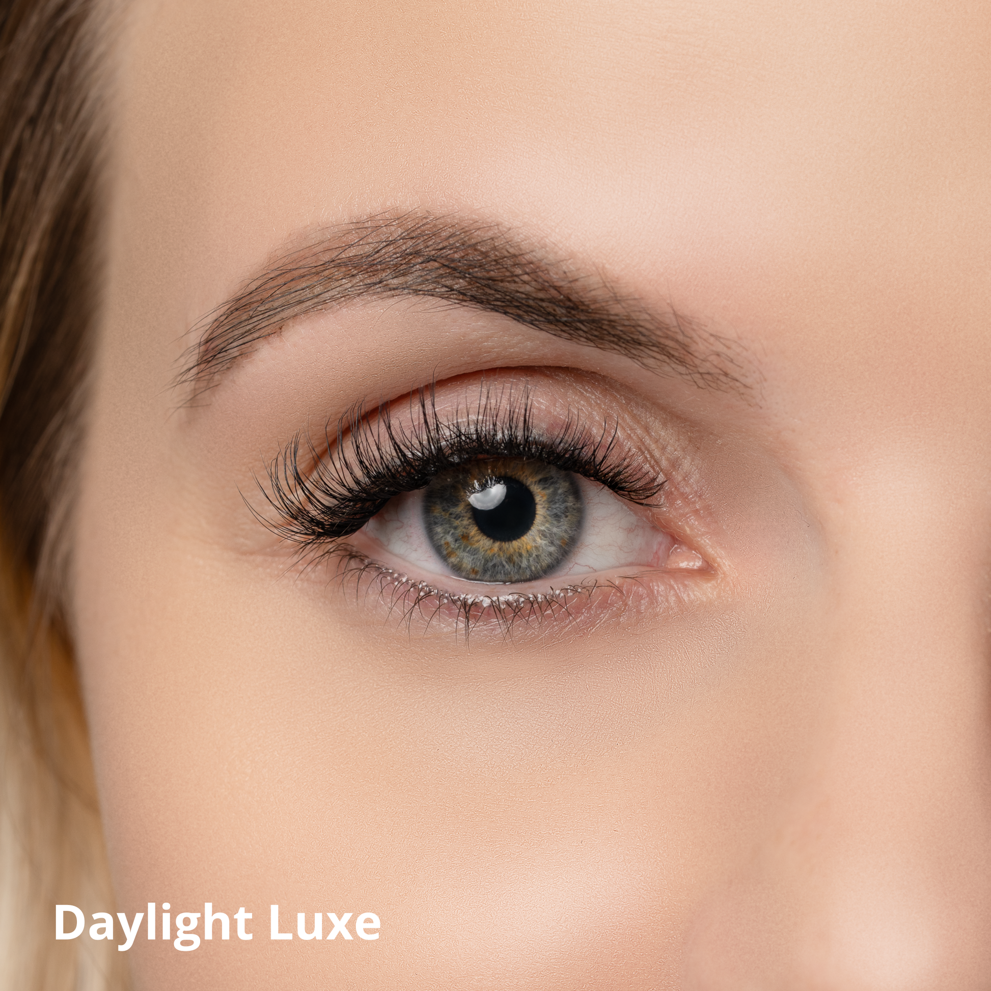 Press-On Lashes Starter Kit - Missbeauty