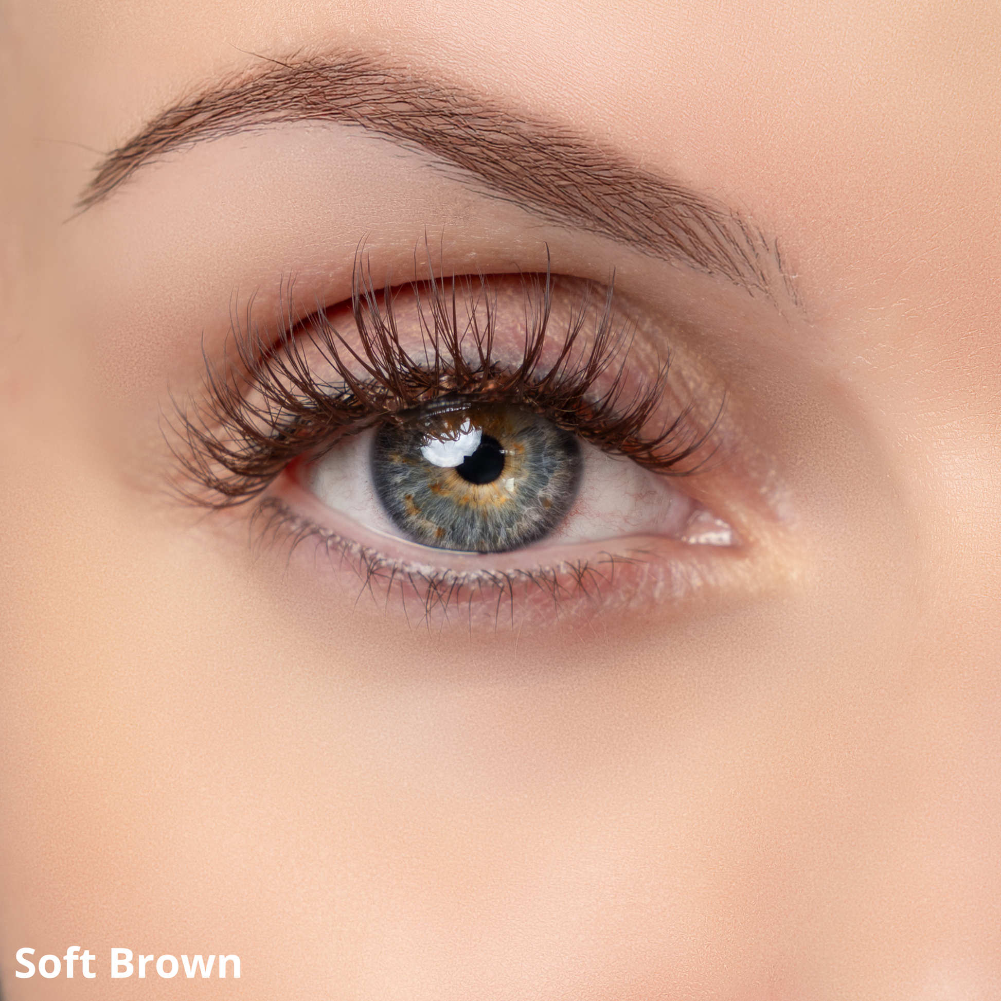 Soft Brown – Pre-Glued Press-On Lashes - Missbeauty
