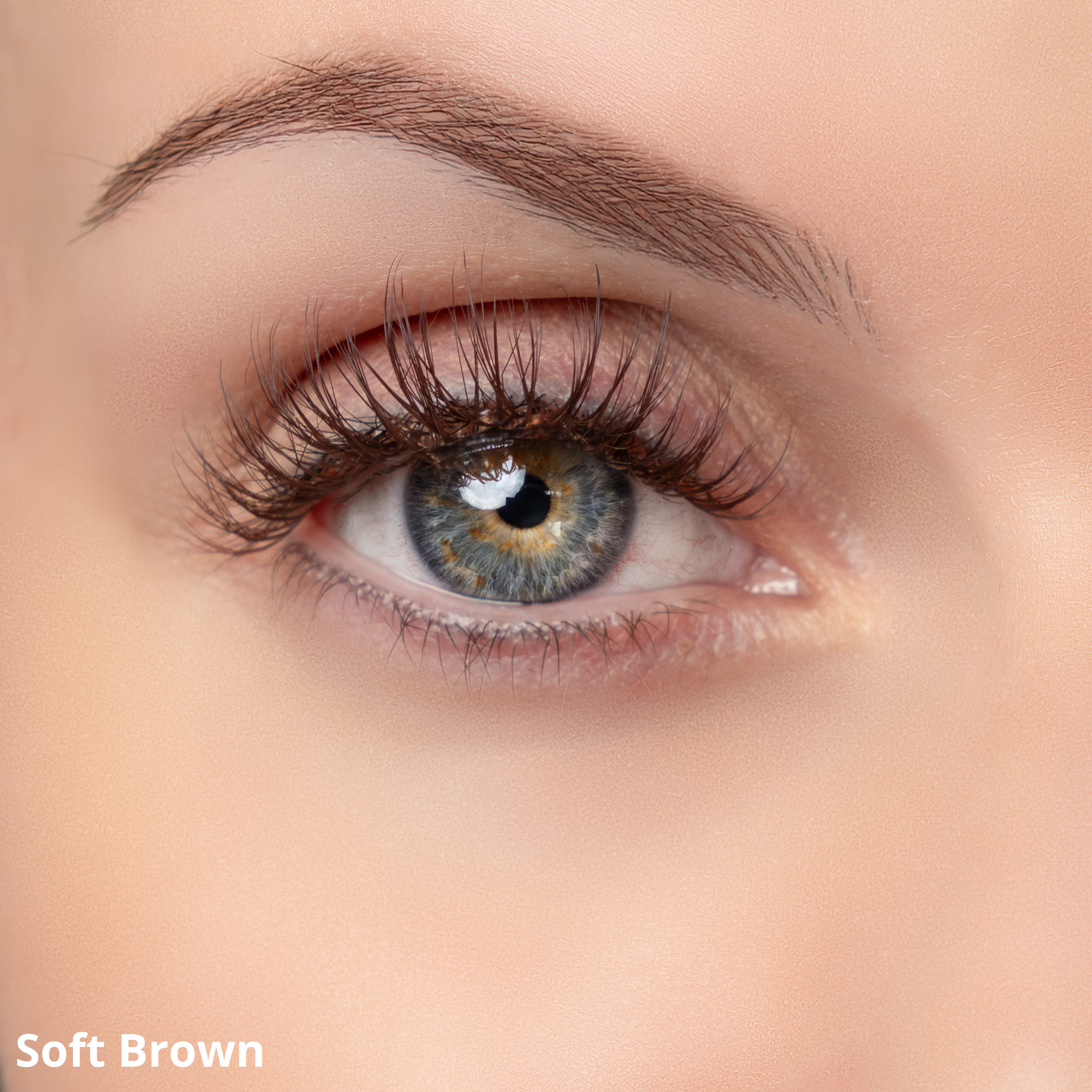 Soft Brown – Pre-Glued Press-On Lashes - Missbeauty