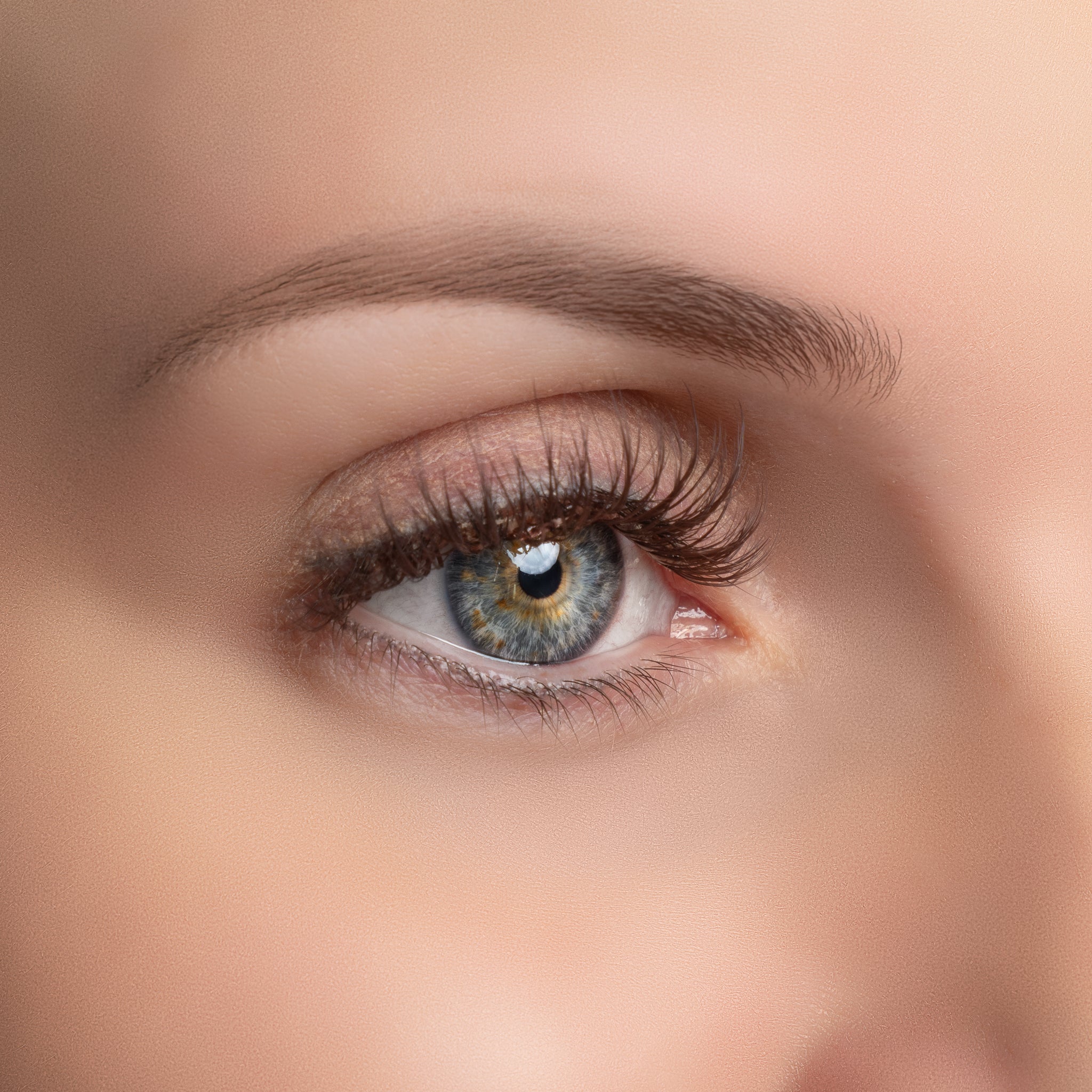 Soft Brown – Pre-Glued Press-On Lashes - Missbeauty