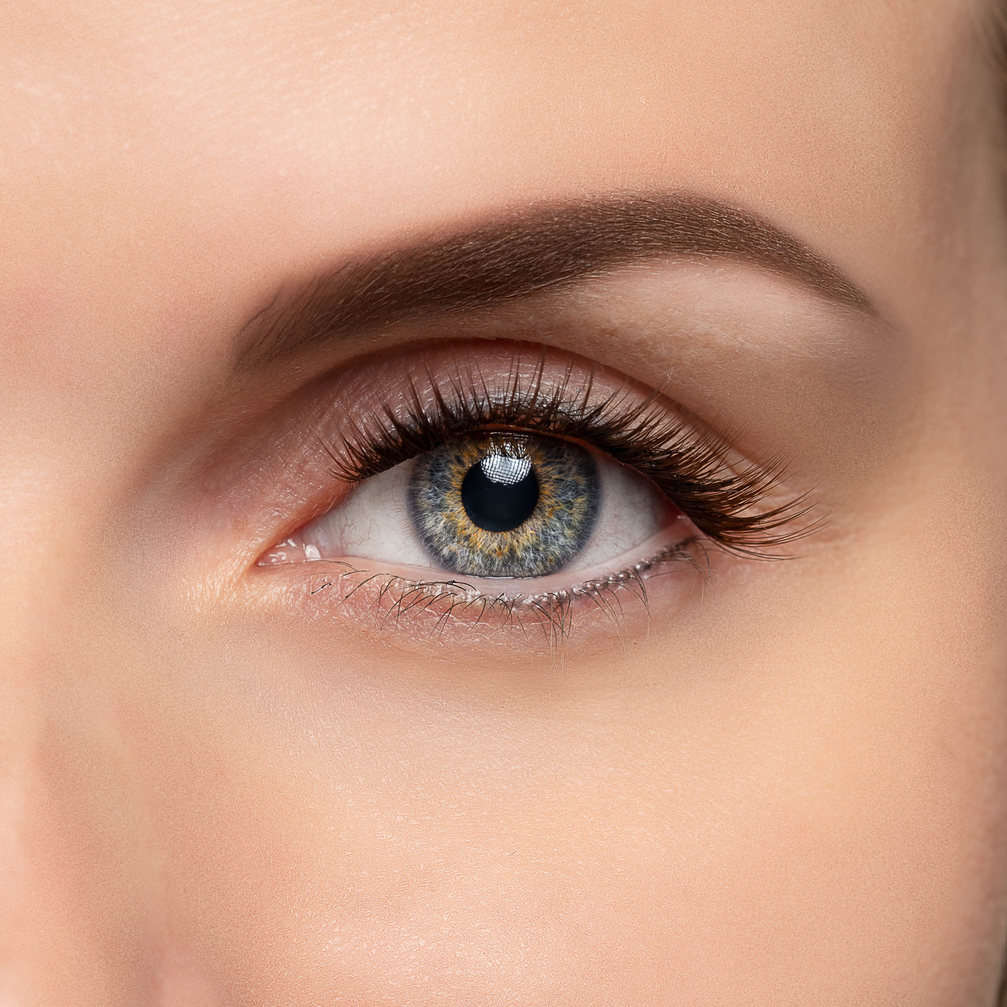 Brown Cluster Lashes